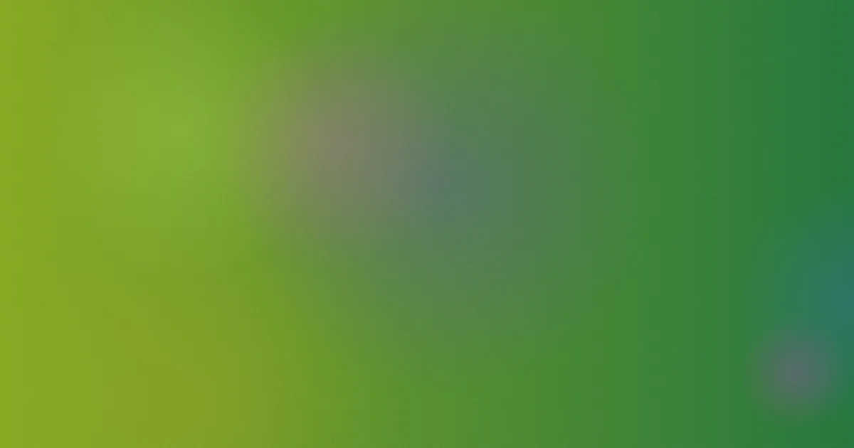 acceed怎么用：实测检索法